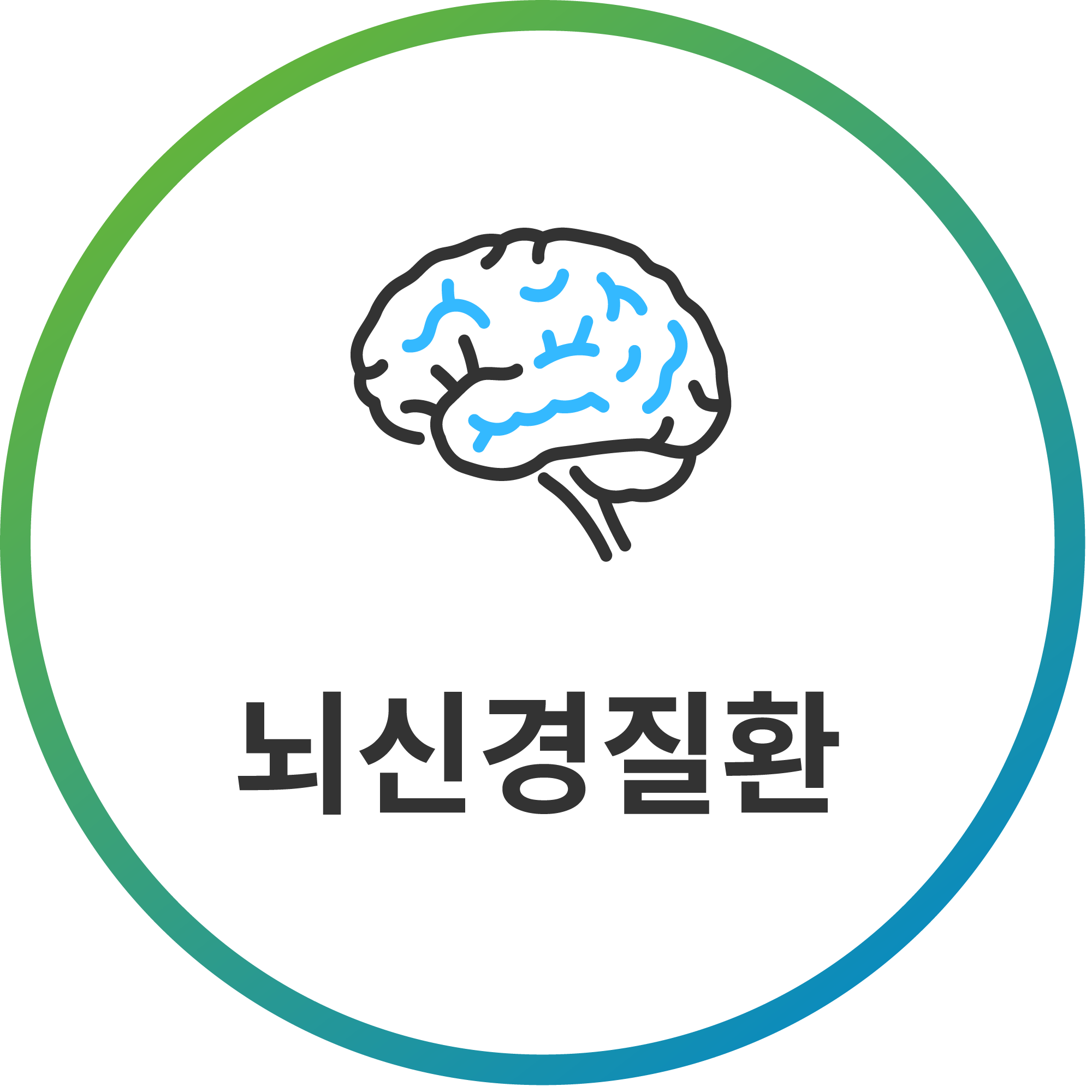 뇌혈관질환(뇌질환)